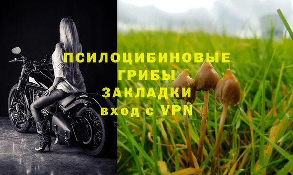 экстази Новодвинск