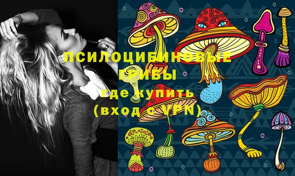 синтетический гашиш Новозыбков