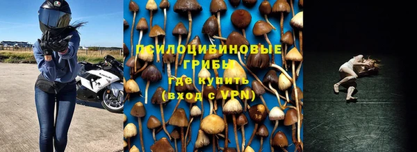 синтетический гашиш Новозыбков